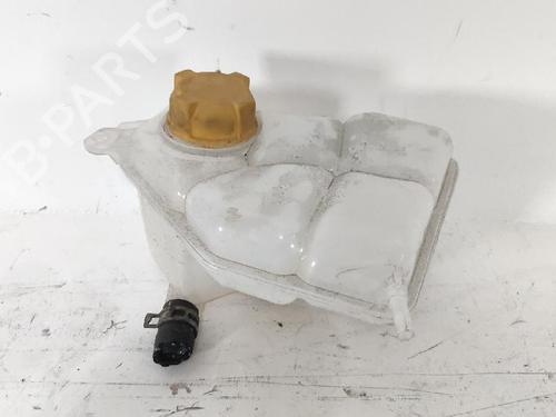 Used Expansion tank FORD FIESTA V (JH_, JD_) 1.25 16V (70 hp) 28839056