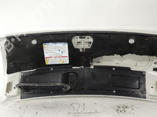 Hood FIAT DUCATO Bus (250_) 130 Multijet 2,3 D | BP29498249C1 