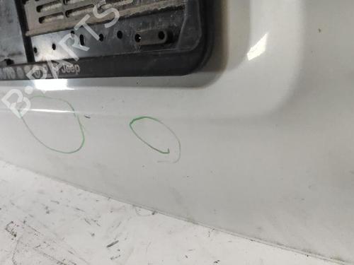 Used Tailgate FIAT FIORINO Box Body/MPV (225_) 1.3 D Multijet (80 hp) 30476325