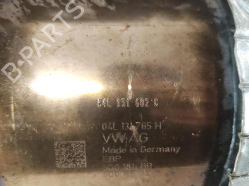 Filtro de particulas VW GOLF ALLTRACK VII Variant (BA5, BV5) 1.6 TDI 4motion | BP29990135M81 