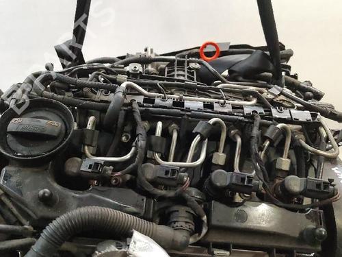 Motor VW GOLF PLUS V (5M1, 521) 1.6 TDI | BP30562269M1