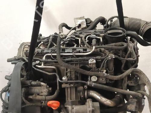 Engine SKODA OCTAVIA II Combi (1Z5) 1.6 TDI | BP38795662M1 - Image 4