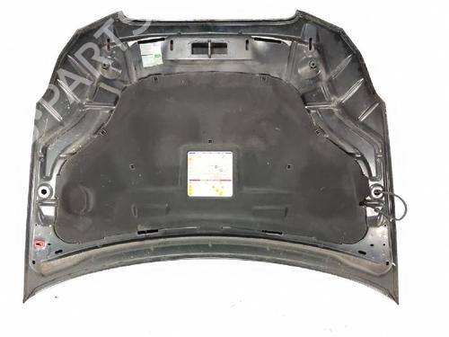 Hood LANCIA DELTA III (844_) 1.6 D Multijet (844.AXC11, 844.AXC1A) | BP29383412C1 