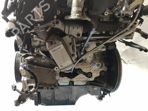 Engine FIAT TIPO Hatchback (356_, 357_) 1.6 D (356HXG1B, 356HXG11) | BP37088332M1 - Image 6