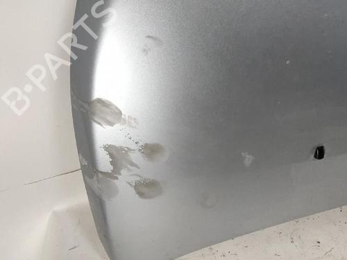 Cofano anteriore DAIHATSU TERIOS (J2_, F7__) 1.5 4x4 (105 hp) 30050085