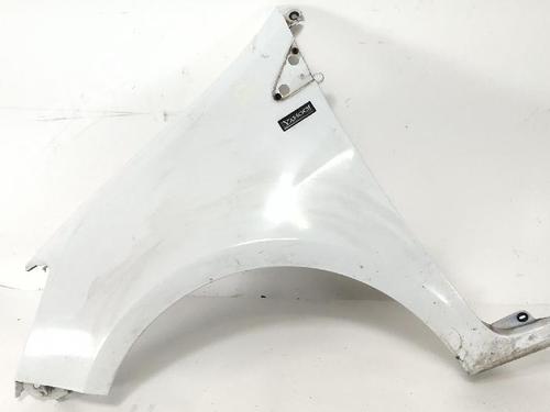 Used Left front fenders RENAULT CLIO III (BR0/1, CR0/1) 1.2 16V Hi-Flex (BR1U, CR1U) (75 hp) 32079762