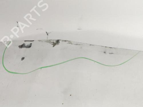 Porta anteriore sinistra FIAT DOBLO Bus (263_) 1.3 D Multijet (263AXC1A) (90 hp) 33014544