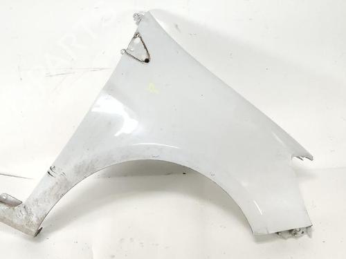 Used Right front fenders RENAULT CLIO III (BR0/1, CR0/1) 1.2 16V Hi-Flex (BR1U, CR1U) (75 hp) 32079763