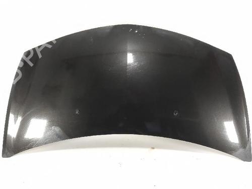 Used Hood RENAULT CLIO III Grandtour (KR0/1_) 1.2 16V (KR0P) (101 hp) 27411902