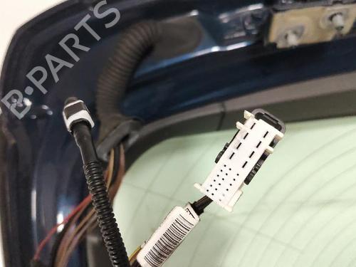 Used Tailgate BMW 1 (F20) 116 d (116 hp) 32008150