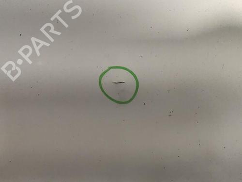 Tailgate FIAT DUCATO Bus (250_) 120 Multijet 2,3 D BP27432268C6
