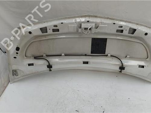 Hood RENAULT KANGOO / GRAND KANGOO II (KW0/1_) 1.5 dCi 105 (KW0F) | BP27850278C1 