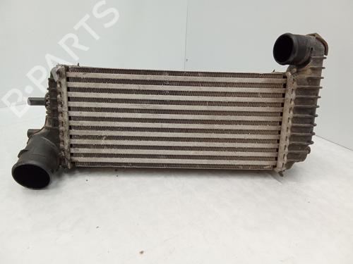 Intercooler FORD TOURNEO CONNECT / GRAND TOURNEO CONNECT V408 MPV 1.5 EcoBlue | BP27851896M30