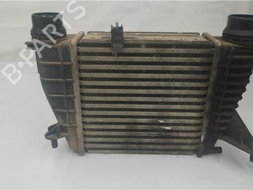 Intercooler RENAULT CLIO III (BR0/1, CR0/1) 1.5 dCi (75 hp) 27850268