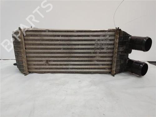 Used Intercooler CITROËN C-ELYSEE (DD_) 1.5 BlueHDi 100 (102 hp) 27845467