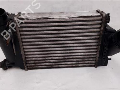 Used Intercooler NISSAN QASHQAI I VAN (J10) 1.6 dCi All-wheel Drive (131 hp) 27846233