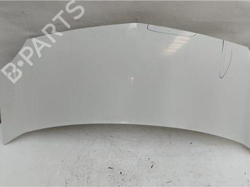 Used Hood RENAULT KANGOO / GRAND KANGOO II (KW0/1_) 1.5 dCi 105 (KW0F) (103 hp) 27850278