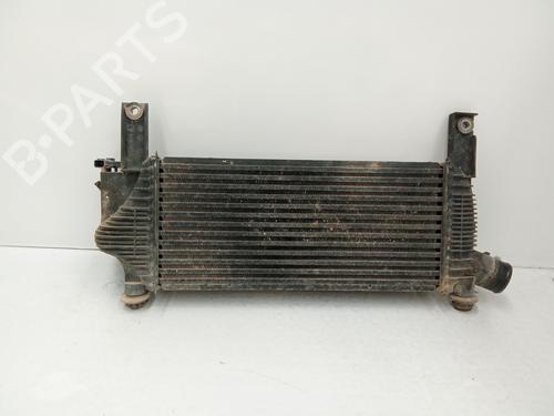 Intercooler NISSAN PATHFINDER III (R51) 2.5 dCi 4WD | BP33794336M30 - Image 4