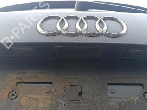 Tailgate handle AUDI Q5 (8RB) 2.0 TDI quattro | BP27851290C132 