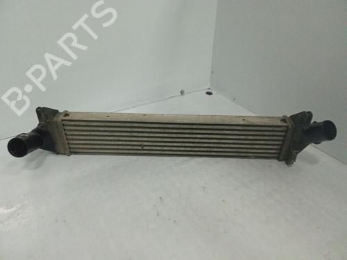 Used Intercooler RENAULT KANGOO (KC0/1_) 1.5 dCi (84 hp) 29322319