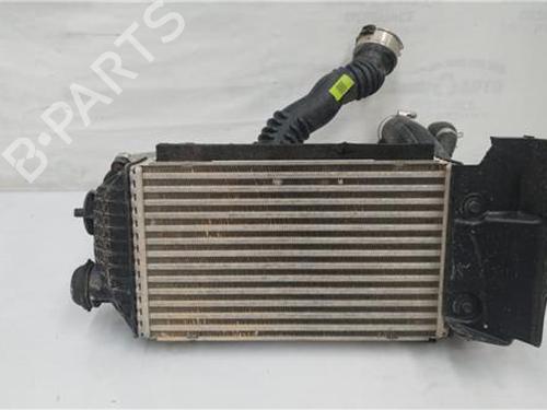 Intercooler HYUNDAI TUCSON (NX4E, NX4A) 1.6 T-GDi HTRAC | BP27850346M30 
