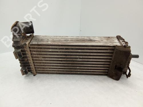 Used Intercooler Intercooler FORD TOURNEO CONNECT / GRAND TOURNEO CONNECT V408 MPV 1.5 EcoBlue (120 hp) 27851896 27851896