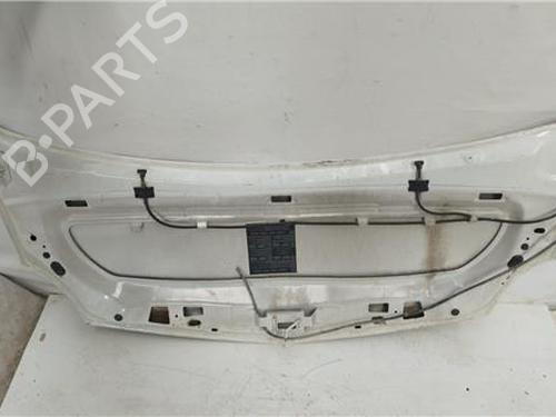 Hood RENAULT KANGOO / GRAND KANGOO II (KW0/1_) 1.5 dCi 70 (KW0V, KW0A) | BP27850373C1 