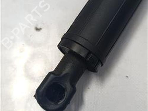 Tailgate lift support BMW X1 (F48) xDrive 20 d | BP27851998C138 
