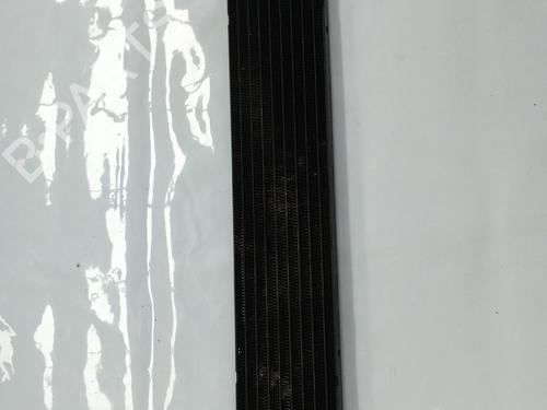 Used Oil radiator JEEP GRAND CHEROKEE III (WH, WK) 3.0 CRD 4x4 (218 hp) 29401569