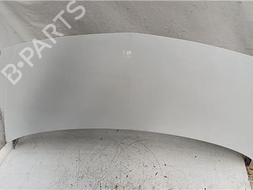 Used Hood MERCEDES-BENZ CITAN Box Body/MPV (W415) [2012-2021]  27686906
