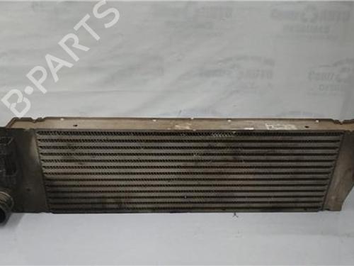 Used Intercooler RENAULT MEGANE II Saloon (LM0/1_) 1.9 dCi (LM0G, LM1G, LM2C) (120 hp) 27850125