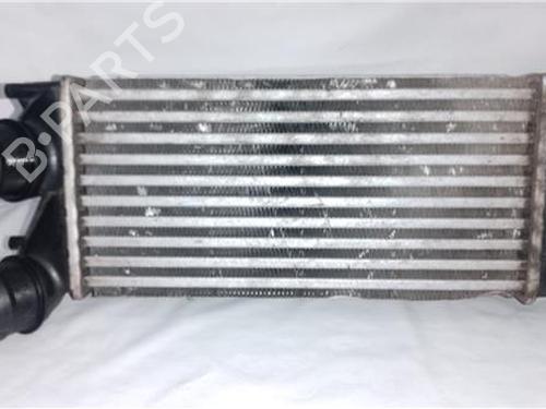 Used Intercooler PEUGEOT 3008 I MPV (0U_) 1.6 HDi (114 hp) 27848934