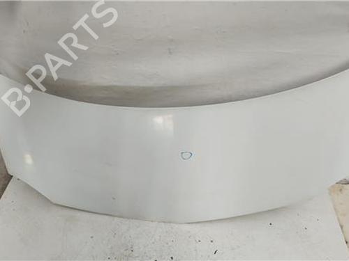 Used Hood RENAULT KANGOO / GRAND KANGOO II (KW0/1_) 1.5 dCi 70 (KW0V, KW0A) (68 hp) 27850373