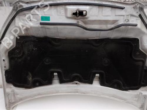Hood NISSAN QASHQAI I (J10, NJ10) 2.0 dCi All-wheel Drive | BP27847716C1