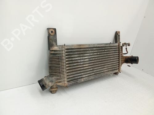 Intercooler NISSAN PATHFINDER III (R51) 2.5 dCi 4WD | BP33794336M30 - Image 2