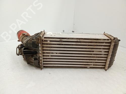 Intercooler CITROËN C3 III (SX) 1.6 BlueHDi 75 | BP29808995M30