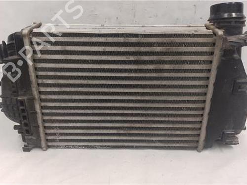Intercooler NISSAN QASHQAI I VAN (J10) 1.6 dCi All-wheel Drive | BP27848455M30 