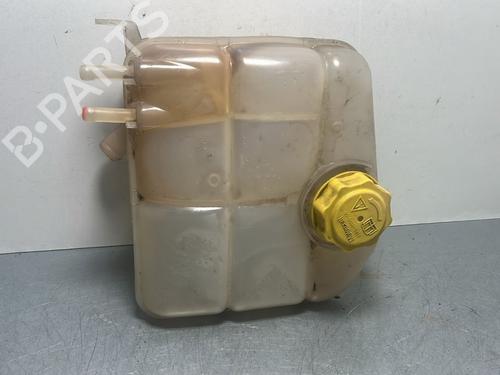 Used Expansion tank FORD TOURNEO CONNECT 1.8 TDCi (110 hp) 29871291