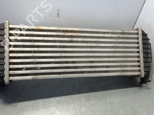 Intercooler RENAULT KANGOO (KC0/1_) 1.5 dCi | BP29428871M30 