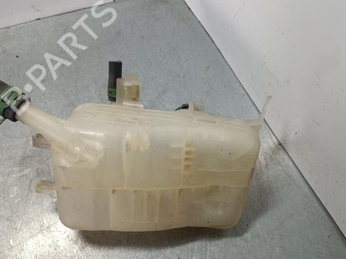 Ekspansjonstank RENAULT MEGANE III Hatchback (BZ0/1_, B3_) 1.5 dCi | BP29943195C120