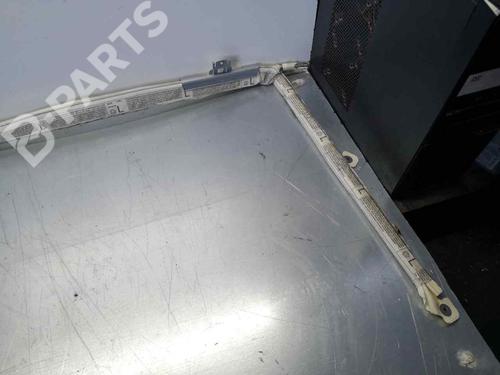 Left curtain airbag SKODA OCTAVIA II (1Z3)  | BP6831894C11 