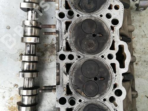 Cylinder head SEAT IBIZA IV (6J5, 6P1)  | BP10974588M5 