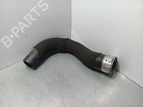 Pipe DACIA JOGGER (RK_) | BP30942523M125