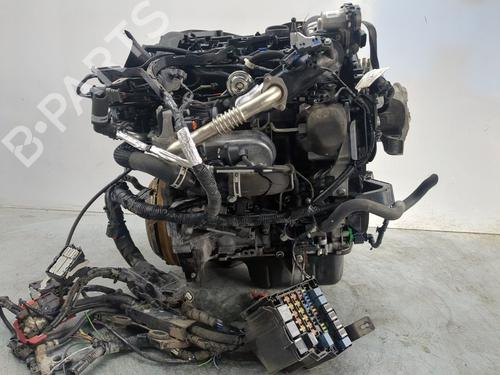 Engine FORD TRANSIT COURIER B460 MPV  | BP32192215M1  - Image 7