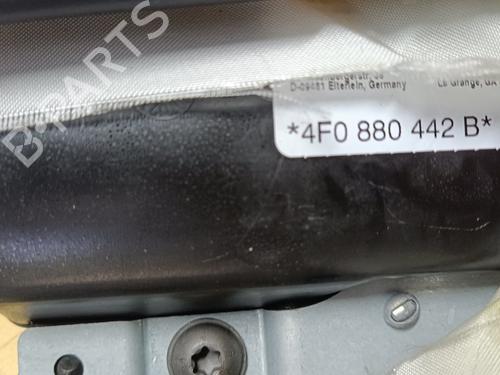 Electronic module AUDI A6 Allroad C6 (4FH) 3.0 TDI quattro | BP29479797M83 