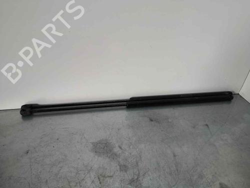 Used Tailgate lift support MERCEDES-BENZ SLK (R171) 200 Kompressor (171.442) (163 hp) 14050312