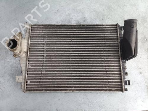 Used Intercooler Intercooler JAGUAR S-TYPE II (X200) 2.7 D (207 hp) 40154229 40154229