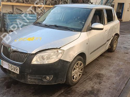 Engine SKODA FABIA I (6Y2) 1.4 TDI | BP19724786M1 