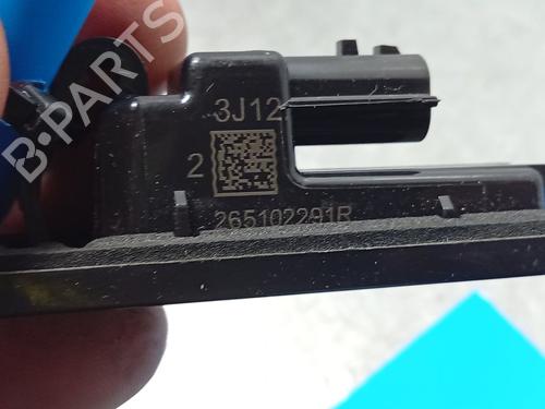 Éclairage de plaque d'immatriculation DACIA JOGGER (RK_) | BP30471712I40