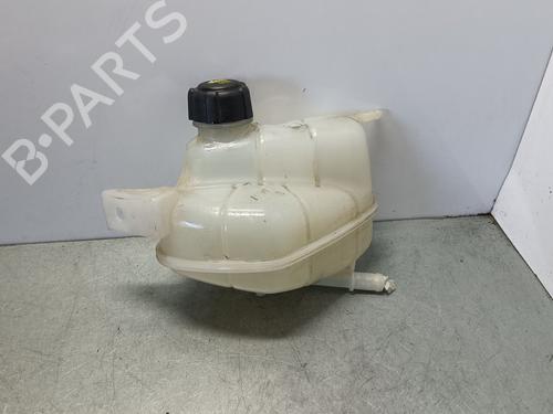 Used Expansion tank NISSAN QASHQAI II (J11, J11_) [2013-2025]  30289536